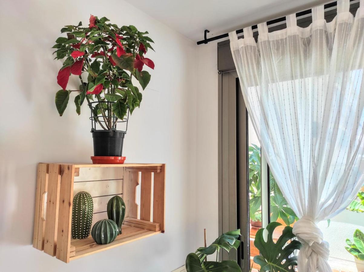Manuela Nogales Apartments! 马拉加 外观 照片